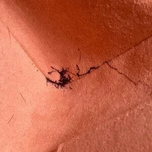 Louis Vuitton Monogram 2WAY Shoulder/Tote Bag Kabuki Brown Red