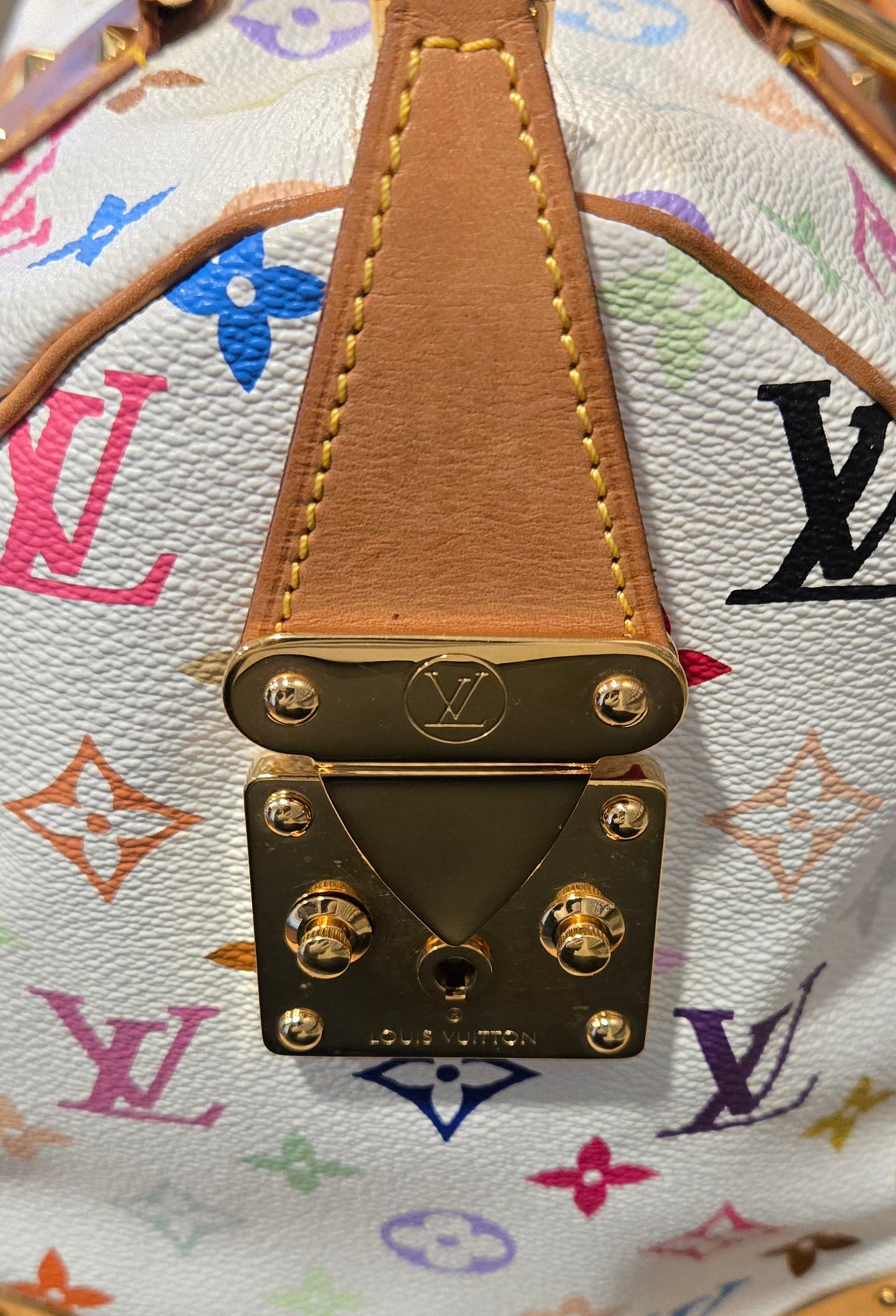 Louis Vuitton Murakami Speedy 30 Multicolor Monogram - COA Included