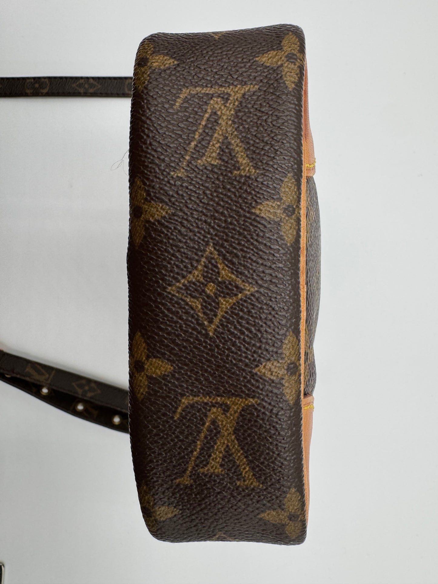 Louis Vuitton Monogram Danube Crossbody - VINTAGE