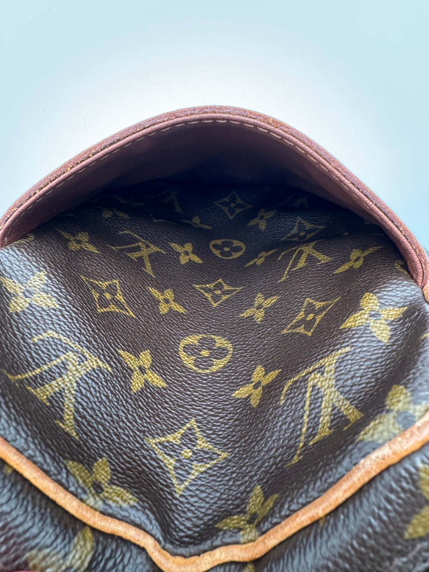 Louis Vuitton Monogram Danube Crossbody - VINTAGE