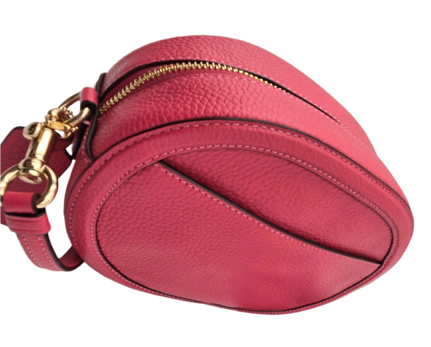 COACH Camera Bag With Horse And Carriage Crossbody- New with tags