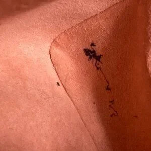 Louis Vuitton Monogram 2WAY Shoulder/Tote Bag Kabuki Brown Red